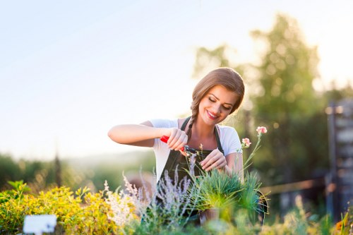 Gardener pruning shrubs in a Plumstead front garden