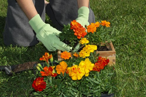 Comprehensive tree assessment by experts
