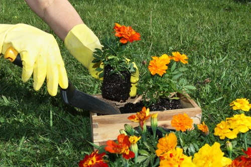 Operative trimming a hedge in a Plumstead terrace garden