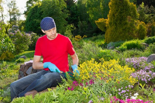 Professional gardeners at work maintaining a lush garden in Plumstead.