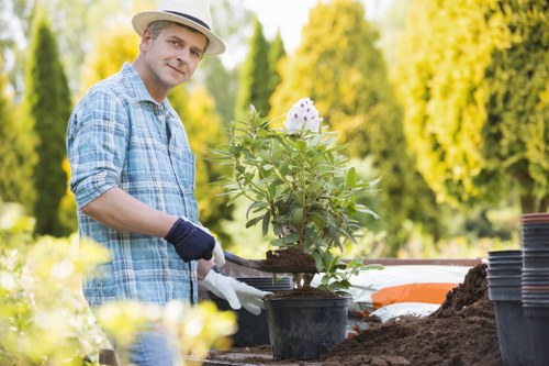 Trusted tree services for Plumstead residents